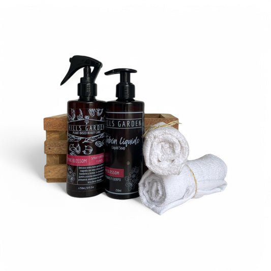 Kit Jabón Líquido + Spray 250ml + Canasta 2 Toallas