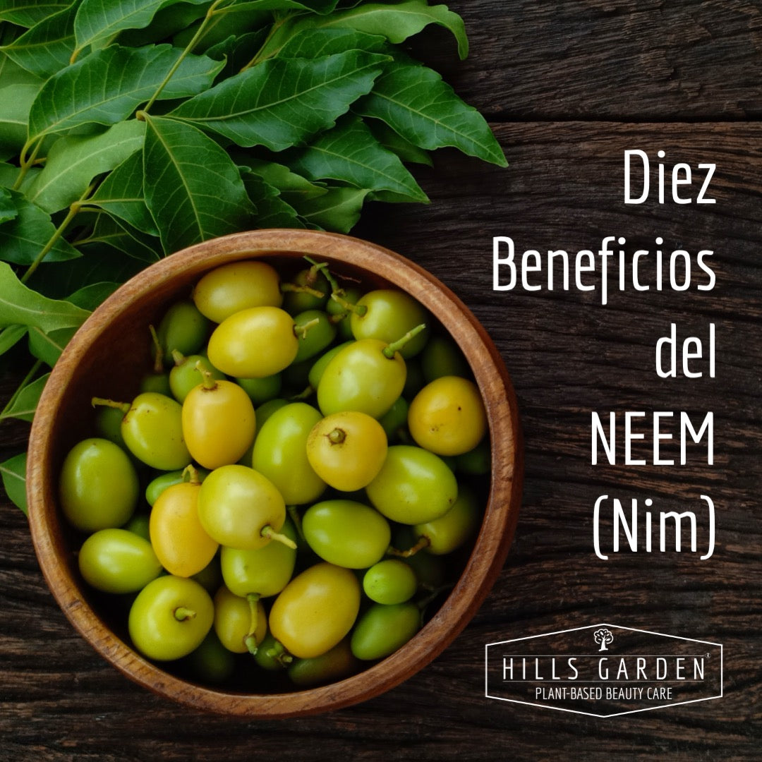 Diez Beneficios del Neem (Nim) – HILLS GARDEN