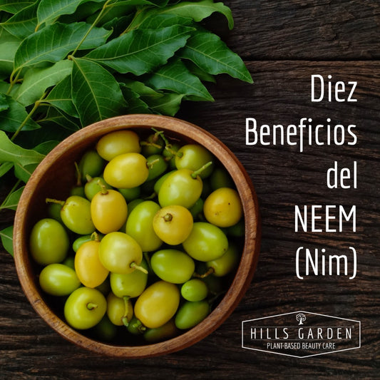 Diez Beneficios del neem