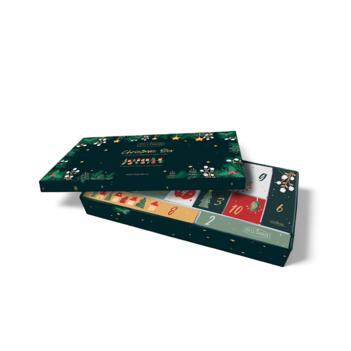 Christmas Box