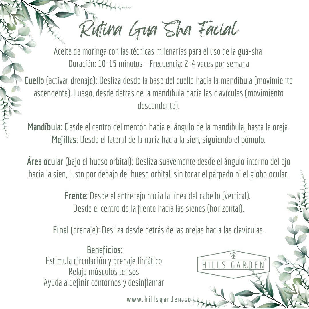 Ritual Aceite de Moringa + Gua-Sha