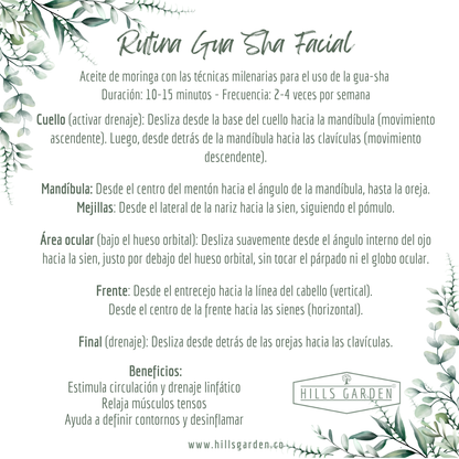 Ritual Aceite de Moringa + Gua-Sha